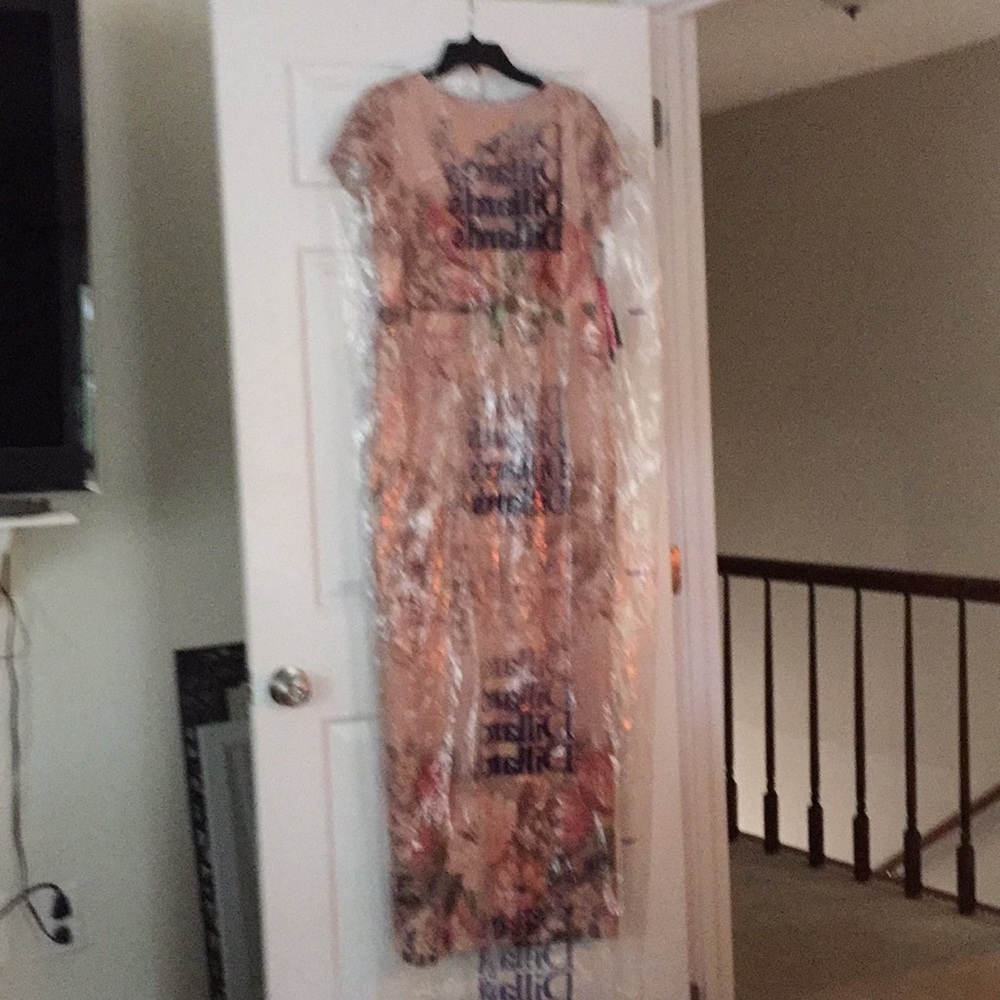 Adrianna Papell Dress, perfect Mother of Bride